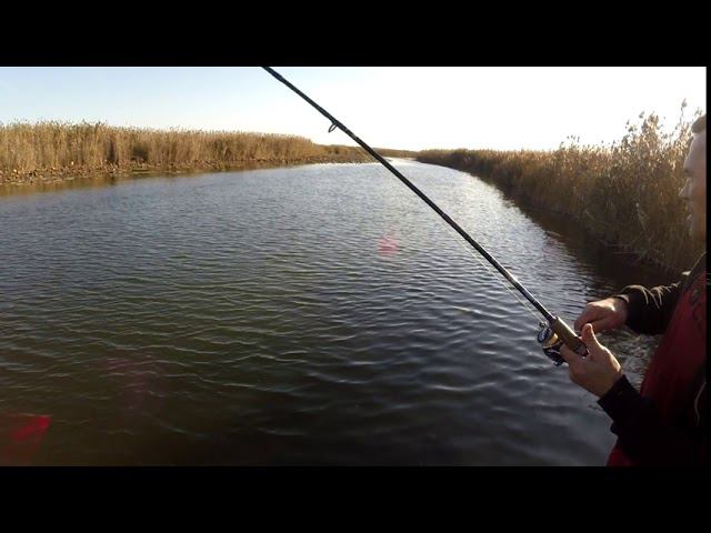 4 августа 2020 г. смотреть онлайн