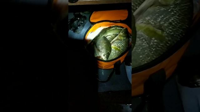 Ахтуба Астрахань Риф-скат 450 04-05.10.22 смотреть онлайн