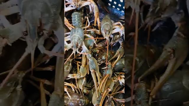 Рыбалка и не только  Приготовление рака.