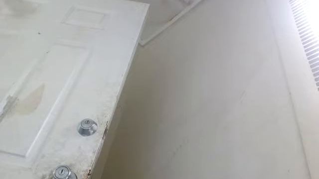 Money qunny смотреть онлайн