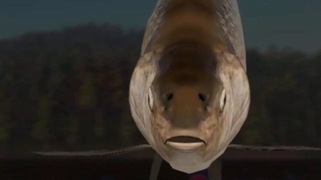 Russian Fishing 4 RF4 -TUNGUSKA RIVER- Super active spot 88 fish in 45 min Broad Whitefish and Pele смотреть онлайн