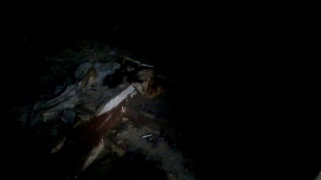Заброшенный кинотеатр смотреть онлайн