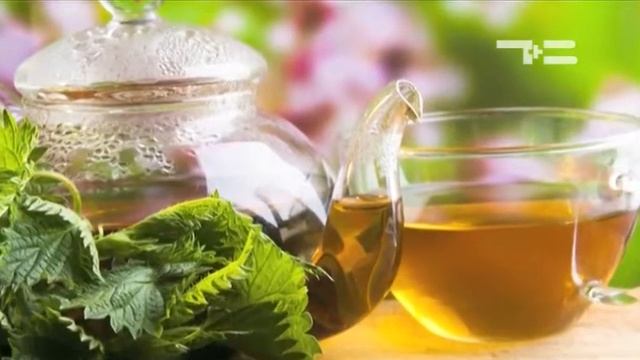 Интересное о погоде: о пользе крапивы