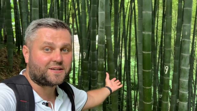 БАТУМИ. Ботанический сад. Сколько стоит и как добраться? смотреть онлайн