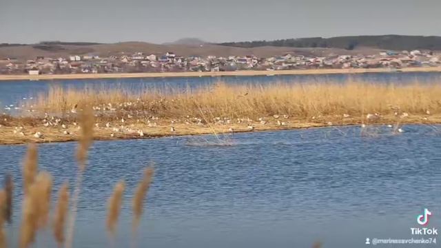 озеро Копа, город Кокшетау 2022 г. смотреть онлайн