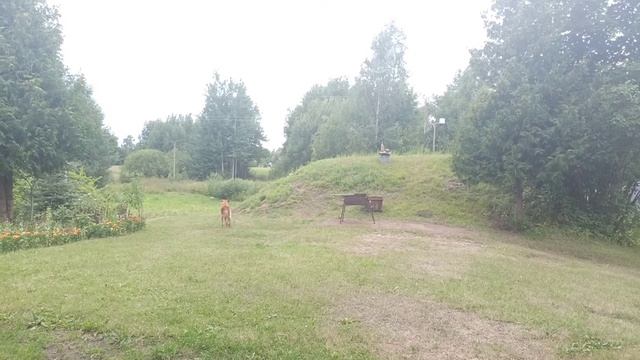 Литва хутор обзор смотреть онлайн