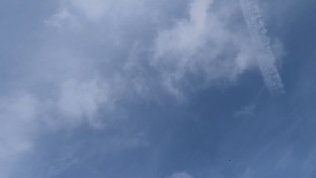 Гости голубятники на полигоне! смотреть онлайн