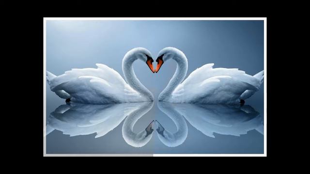 С Днем св Валентина смотреть онлайн