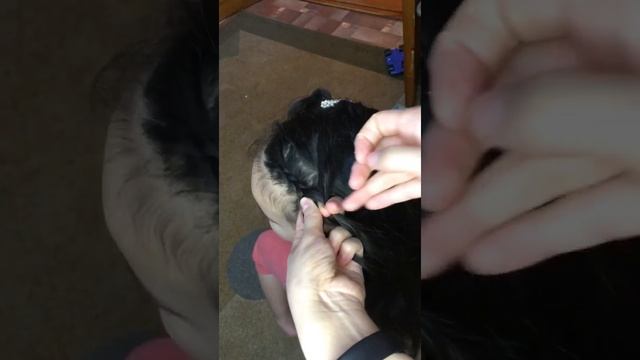 Прическа за 15 минут. Косички для школы и садика. Прическа. Лёгкая и красивая причёска для девочек смотреть онлайн