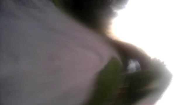 Катаемся на квадрике смотреть онлайн