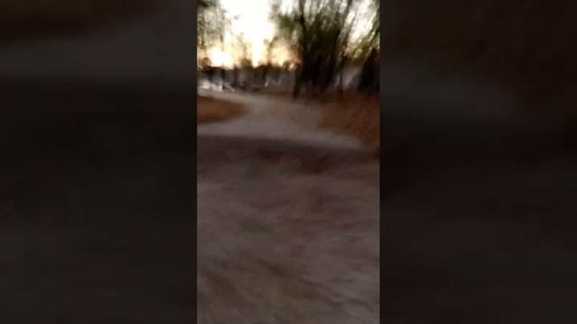 прокат по парку смотреть онлайн