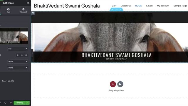 How to Stretch the Image to full width using ELEMENTOR in wordpress || No Plugin !! смотреть онлайн