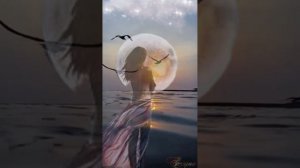 Лори Кристи, Цвет ночи .