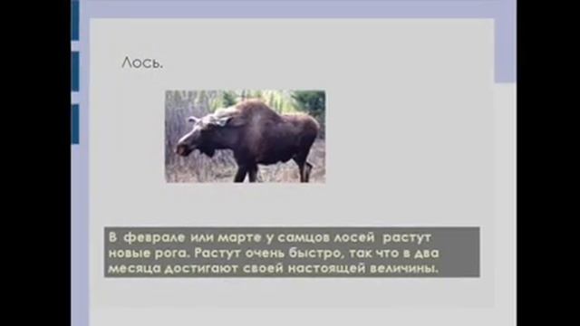 2 класс. Как животные встречают весну. смотреть онлайн