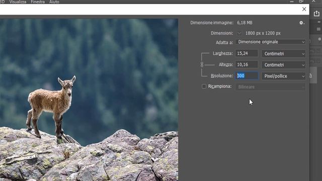 La risoluzione pixel/pollice [Photoshop 2019] смотреть онлайн
