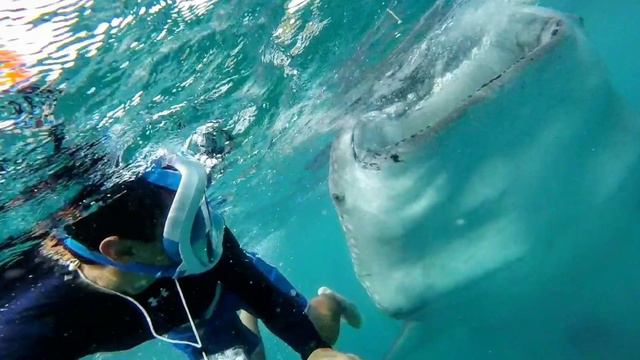 Trip To Philippines 2018