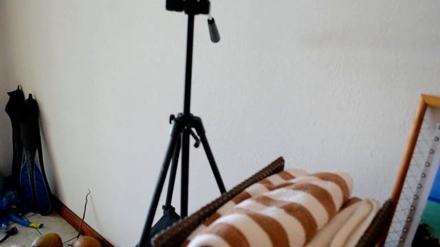 Maldives. A room in a bungalow with an ocean view. / Мальдивы. Номер в бунгало с видом на океан. смотреть онлайн