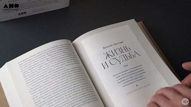Новинка «Альпины»: Полка: О главных книгах русской литературы (тома III, IV) смотреть онлайн
