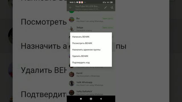 Вступайте в группу ватсап смотреть онлайн