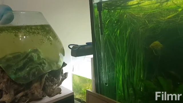 Аквариум - Большая Капля Воды. Необычные аквариумы смотреть онлайн