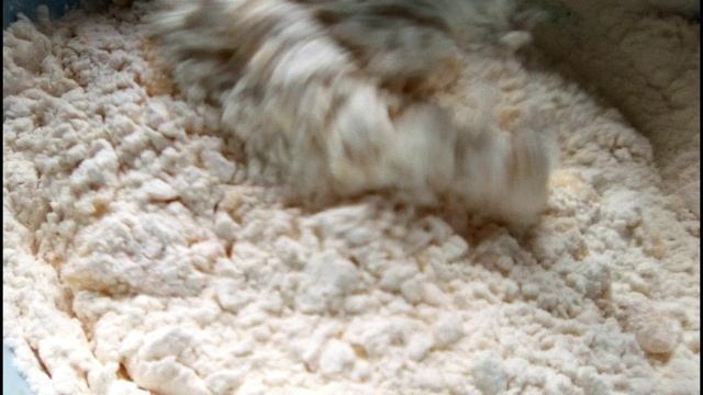 СОТНИ ВОСТОРЖЕННЫХ ОТЗЫВОВ?СКОРЕЕ СОХРАНЯЙТЕ РЕЦЕПТ?ВЛАЖНЫЕ НЕЖНЫЕ КУЛИЧИ?БЕЗ ДРОЖЖЕЙ И ЗАМАРОЧЕК