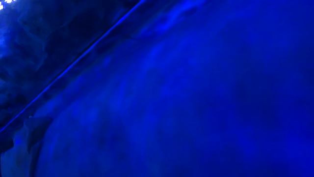 Dubai Mall Aquarium || Dubai Mall Aquarium & Underwater Zoo || Aquarium Dubai Mall | Dubai Mall Tou