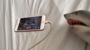 SB Movie: Shark Puppet plays Talking Tom and Ben News!