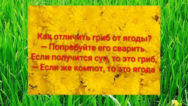 Анекдоты дня #1 смотреть онлайн