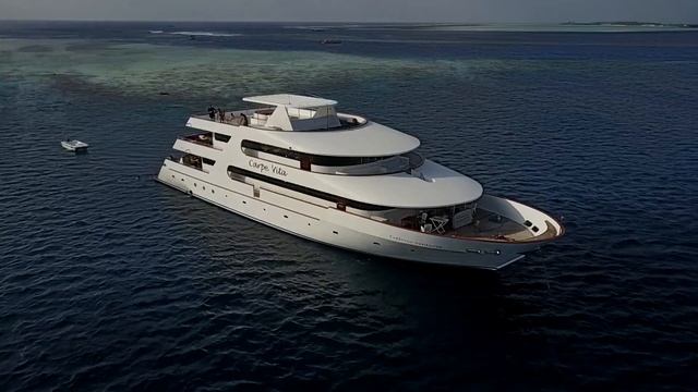 Surfing the Maldives with Barton Lynch and The Perfect Wave смотреть онлайн