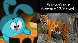 Животные, которые вымерли недавно: