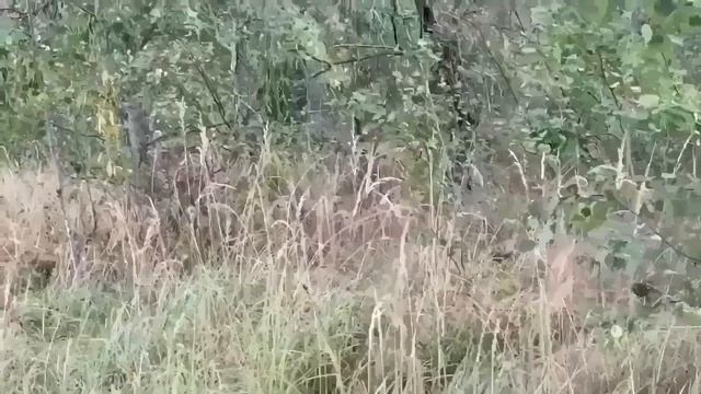 ГЕНЕРАЛЬША ПРОГЕНЕРАЛИЛАСЬ НА ВЕСЬ БЕЛЫЙ СВЕТ. ОЛЮНЯ И КОТЮНЯ.