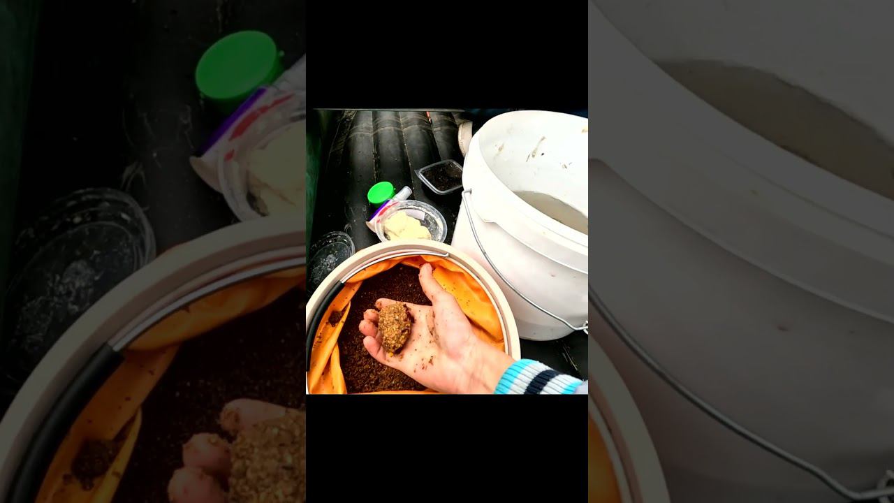 Хороший карась) #рыбалка #fishing #carpfishing #viral #рыбаки #top #карп #карась #top #рек #fish смотреть онлайн