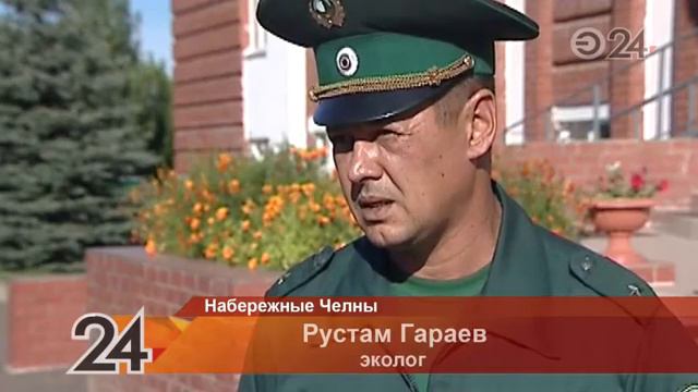 Зловонные запахи не дают покоя жителям Закамья смотреть онлайн