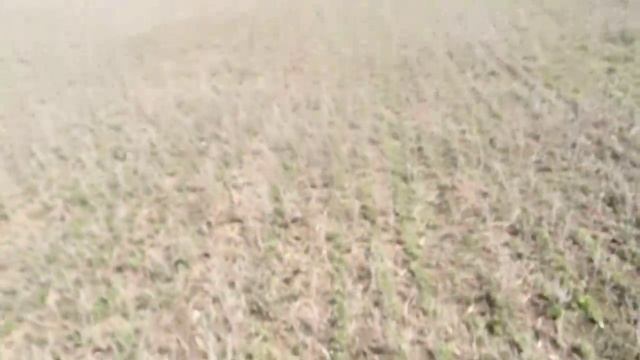 Проверка люцерны 17.03.2017 смотреть онлайн