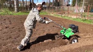 Как посадить картошку Мотоблоком "Aurora 1050" под плуг ?