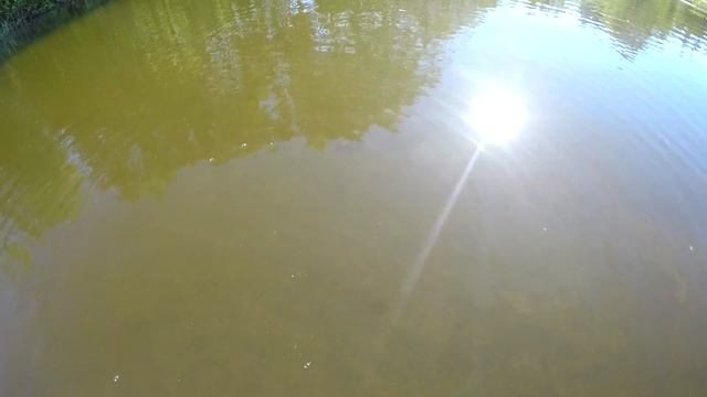 Ловля краснопёрки на ультралайт. В поисках 1 кг краснопёрки на ультралайт. смотреть онлайн