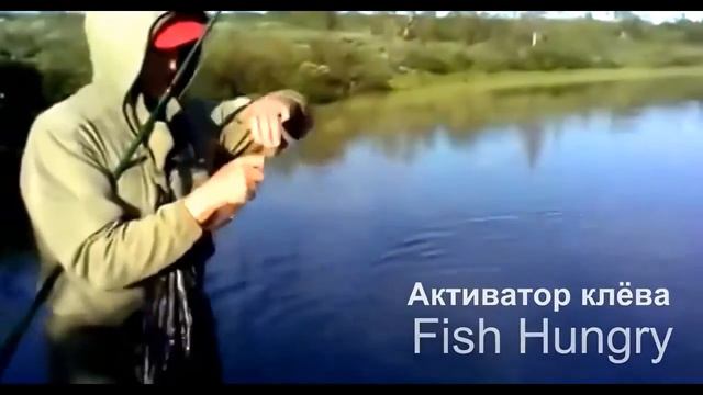 Рыбалка Воронеж смотреть онлайн