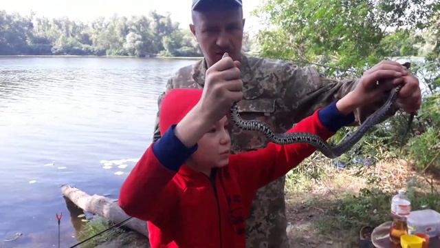 Поймали ужа смотреть онлайн