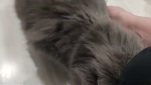 Юстас смотреть онлайн