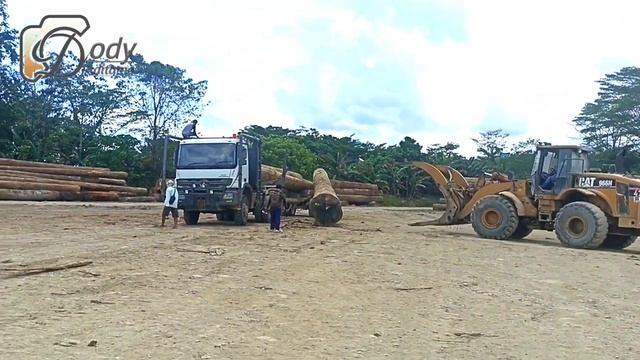 BUKAN MAIN !! 1 LOADER MELAYANI 20 UNIT TRUK LOGGING смотреть онлайн