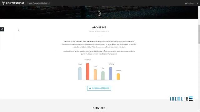 Axen - Personal Portfolio WordPress Theme Florence Wynne смотреть онлайн