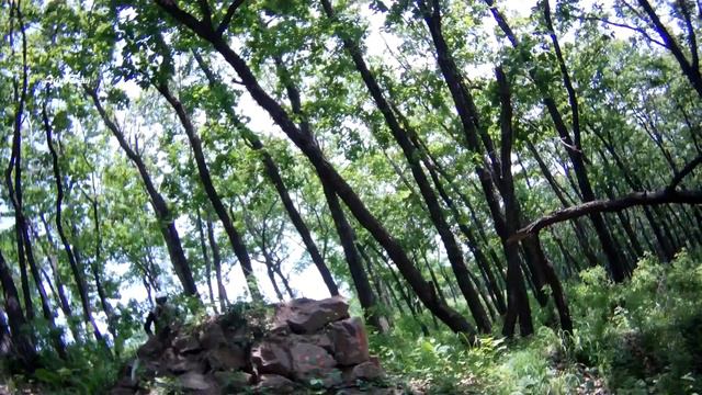 Downhill г. Уссурийск Тасун Артем смотреть онлайн