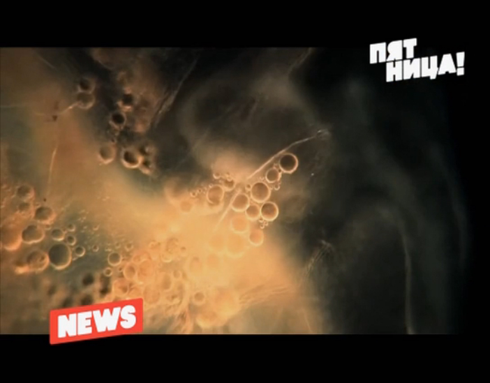 Ученые обнаружили новые бактерии в домах смотреть онлайн