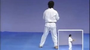 Каратэ Киокушинкай  Ката   Канку