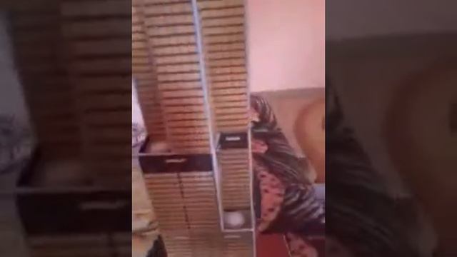 Cubicfun 3D puzzle Willis Tower C083h смотреть онлайн