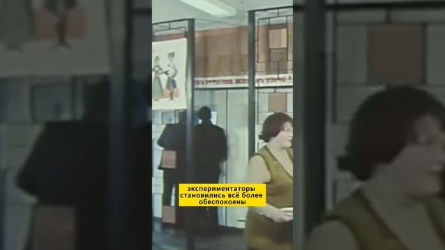 Эксперимент в советской столовой смотреть онлайн