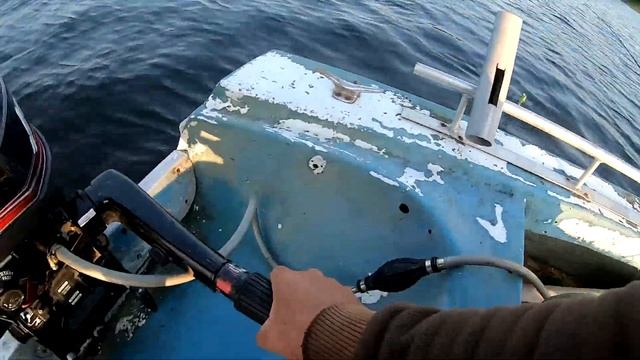 ПРИМАНКА огонь!!! СДЕЛАЛА всю РЫБАЛКУ. В Карелии на Онего. смотреть онлайн