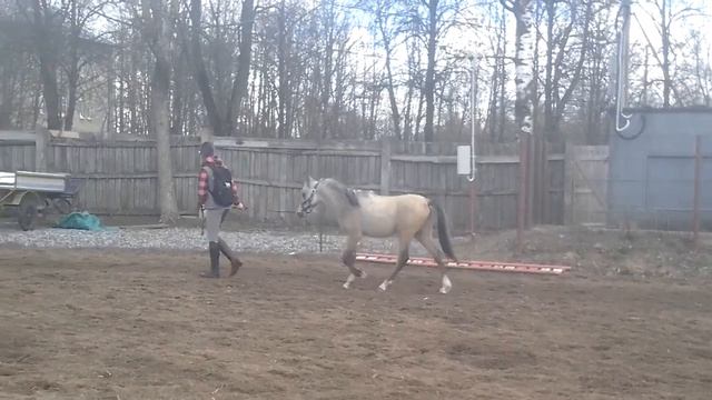 mersedes смотреть онлайн