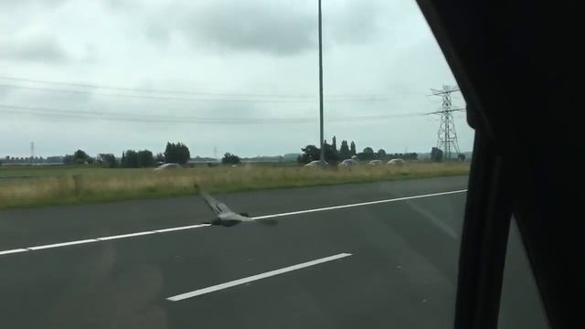 Голубь летит со скоростью 100 км/ч. смотреть онлайн