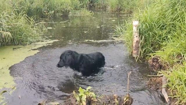 Выезд-тренировка для категорий тр-1, тр-2, тр-3/ трофи-рейд смотреть онлайн